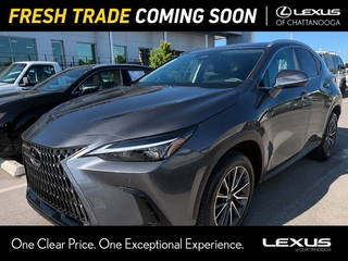 2026 Lexus NX 350 for sale in Chattanooga TN