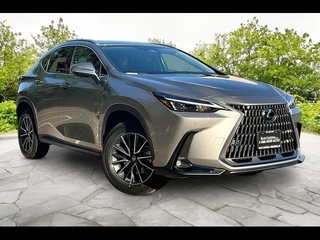 2026 Lexus NX 350 for sale in Freehold NJ