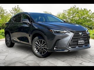 2026 Lexus NX 350 for sale in Freehold NJ