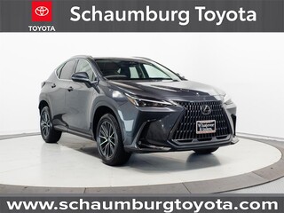 2024 Lexus NX 350 for sale in Schaumburg IL