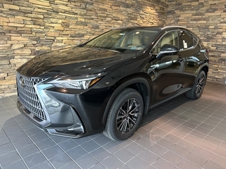 2025 Lexus NX 350 for sale in Allentown PA