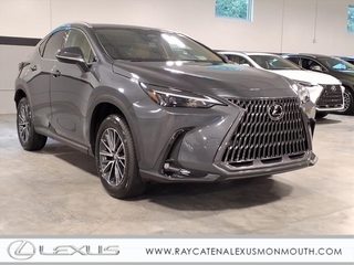 2026 Lexus NX 350 for sale in Freehold NJ