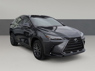 2026 Lexus NX 350 for sale in Chattanooga TN