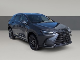 2026 Lexus NX 350 for sale in Chattanooga TN