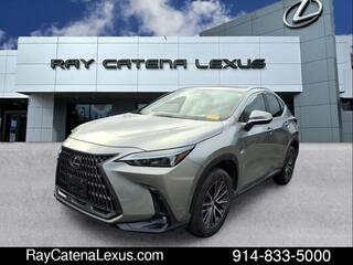 2024 Lexus NX 350