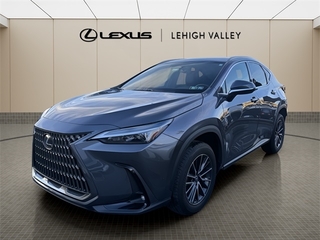2024 Lexus NX 350 for sale in Allentown PA