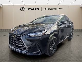 2025 Lexus NX 350 for sale in Allentown PA