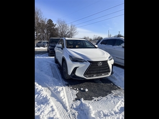 2023 Lexus NX 350h for sale in Allentown PA