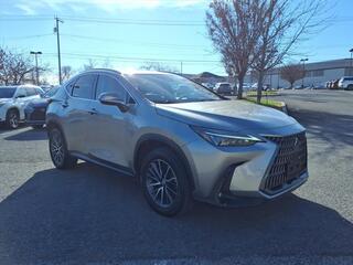 2022 Lexus NX 350h for sale in Nashville TN
