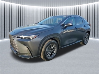 2025 Lexus NX 350h for sale in Schaumburg IL