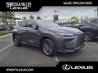 2025 Lexus NX 350h for sale in Temecula CA