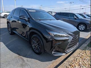 2022 Lexus NX 350h