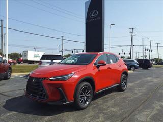 2025 Lexus NX 350h for sale in Toledo OH