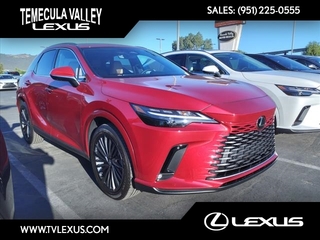 2024 Lexus RX 350 for sale in Temecula CA