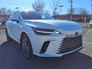2025 Lexus RX 350 for sale in Nashville TN