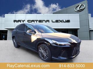 2024 Lexus RX 350 for sale in Larchmont NY