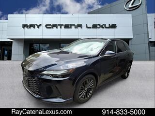 2024 Lexus RX 350 for sale in Larchmont NY