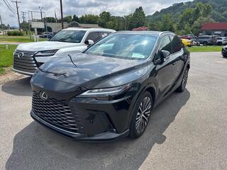 2025 Lexus RX 350 for sale in Kingsport TN
