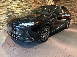 2024 Lexus RX 350 for sale in Allentown PA