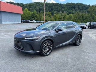 2024 Lexus RX 350 for sale in Kingsport TN