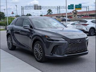 2025 Lexus RX 350 for sale in Chattanooga TN