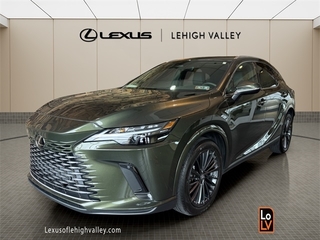 2025 Lexus RX 350 for sale in Allentown PA