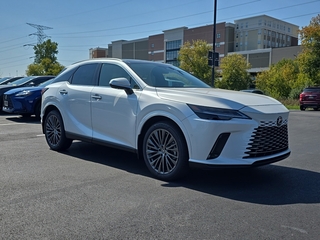 2025 Lexus RX 350 for sale in Brookfield WI
