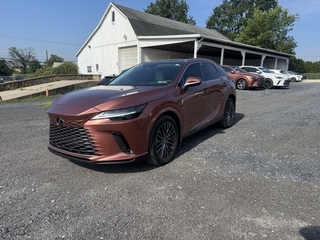 2023 Lexus RX 350 for sale in Allentown PA