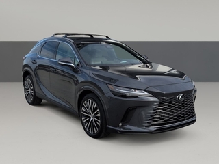 2025 Lexus RX 350 for sale in Chattanooga TN