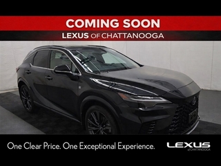 2025 Lexus RX 350 for sale in Chattanooga TN
