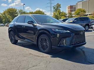 2025 Lexus RX 350 for sale in Brookfield WI