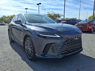 2025 Lexus RX 350 for sale in Nashville TN