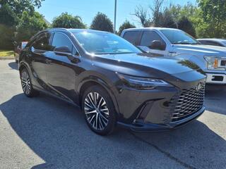 2024 Lexus RX 350 for sale in Clarksville TN