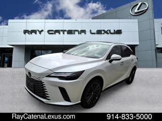 2024 Lexus RX 350 for sale in Larchmont NY