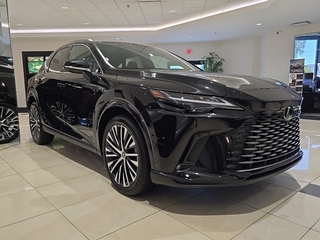 2025 Lexus RX 350 for sale in Brookfield WI