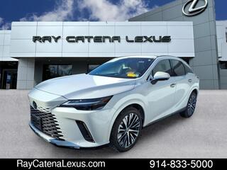 2023 Lexus RX 350h for sale in Larchmont NY