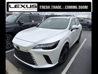 2024 Lexus RX 350h for sale in Chattanooga TN