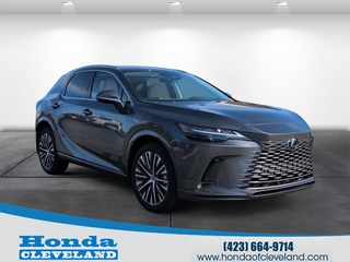 2025 Lexus RX 350h for sale in Cleveland TN