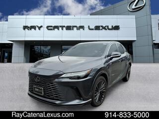 2024 Lexus RX 350h for sale in Larchmont NY