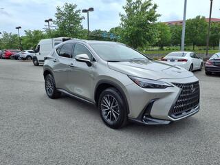 2024 Lexus NX 250