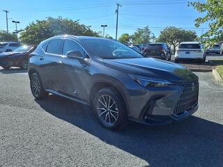 2025 Lexus NX 250 for sale in Nashville TN