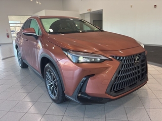 2025 Lexus NX 250 for sale in Durham NC