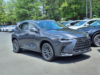2025 Lexus NX 250 for sale in Durham NC
