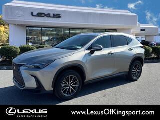 2023 Lexus NX 250 for sale in Kingsport TN