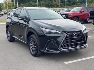 2024 Lexus NX 250