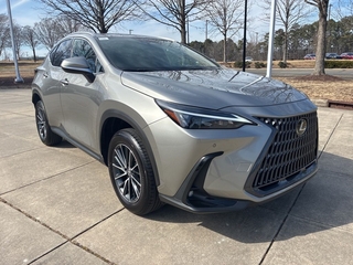 2025 Lexus NX 250 for sale in Durham NC