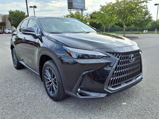 2025 Lexus NX 250 for sale in Nashville TN
