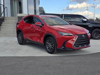 2024 Lexus NX 250 for sale in Chattanooga TN