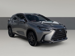 2024 Lexus NX 250 for sale in Chattanooga TN