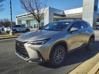 2025 Lexus NX 250 for sale in Brentwood TN